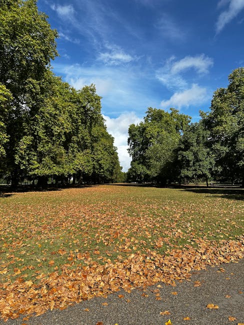 A wide, open park area lined with numerous mature deciduous trees on both sides, with their dense green foliage contrasting against a partly cloudy blue sky. The ground is partially covered with fallen autumn leaves in shades of brown, orange, and yellow, scattered across a grassy expanse and a gravel pathway at the forefront. The scene appears calm and natural, with the leaf fall indicative of seasonal change, and the setting suitable for outdoor recreation or casual walks. The image’s composition emphasizes the symmetry of the tree-lined avenue stretching into the distance, within a clean, well-maintained environment. Although primarily natural, the scene's clear tranquility can be associated with the importance of outdoor spaces in urban settings like West Kensington, often requiring regular clearance of fallen debris as part of routine park maintenance or private waste management services, such as those offered by rubbish removal providers.